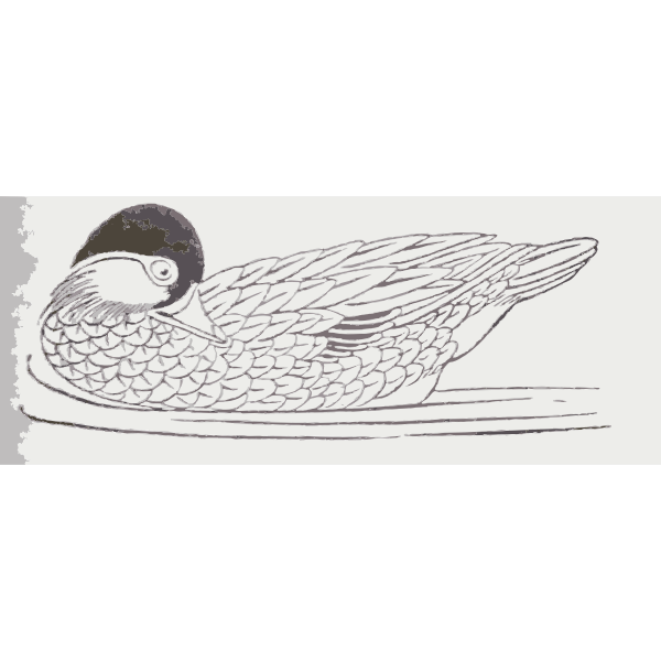 Clip art of duck swimming and looking behind